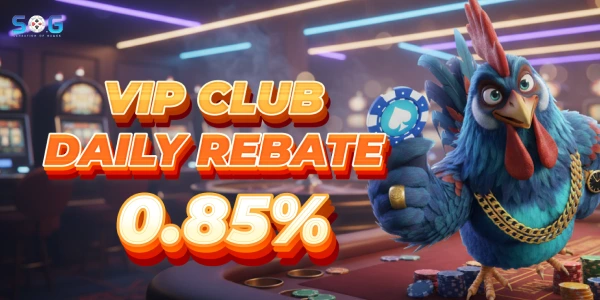 VIP CLUB DAILY REBATE REWARD